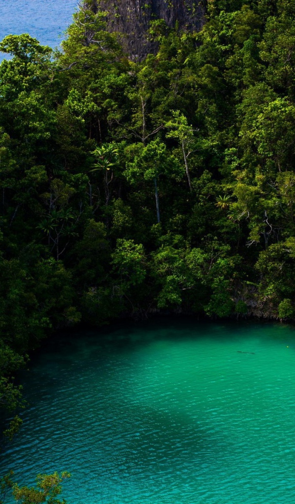 Бирюзовое озеро в тропическом лесу