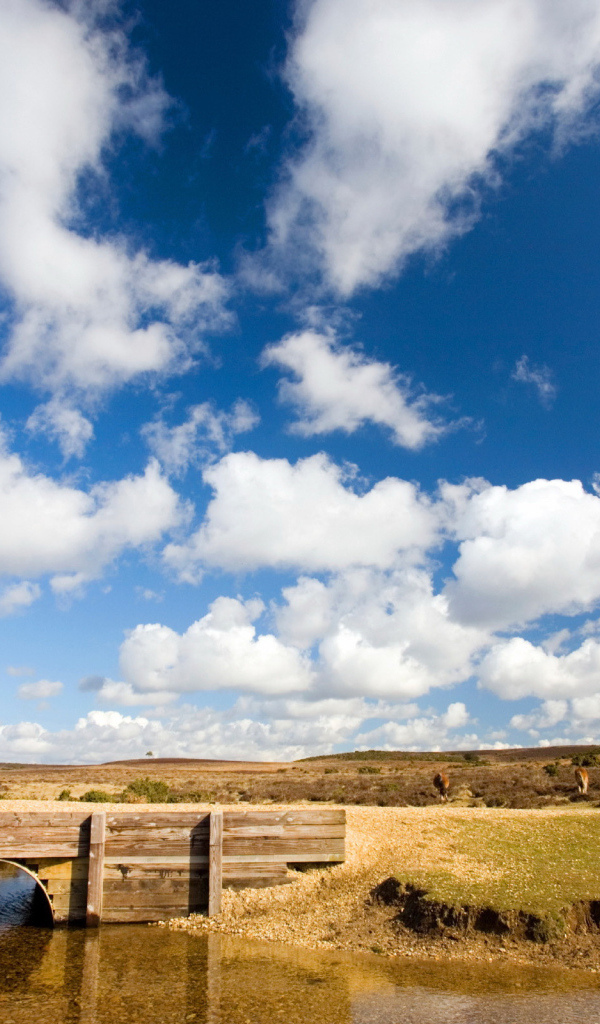 Белые облака над мостом