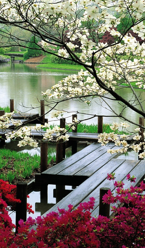 Деревянная дорожка для прогулок у реки