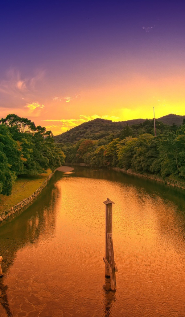 Деревянные столбы в канале