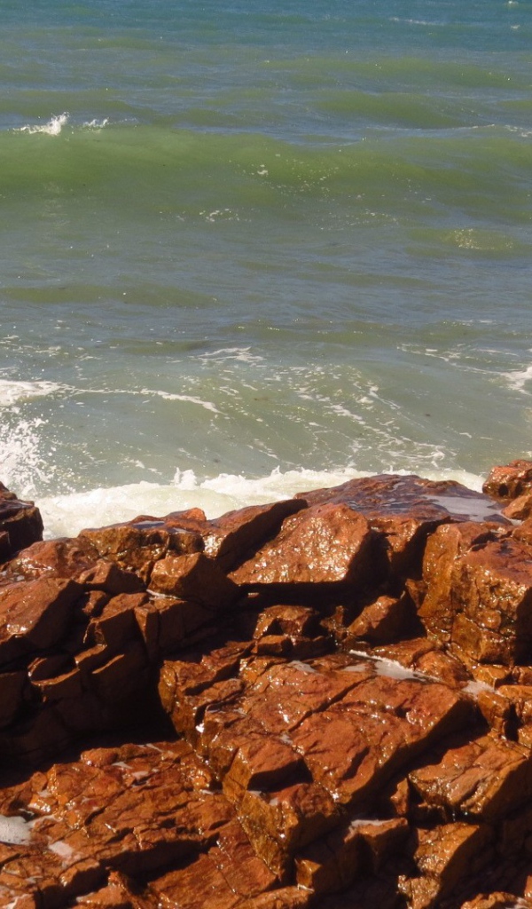 Коричневые камни на берегу моря