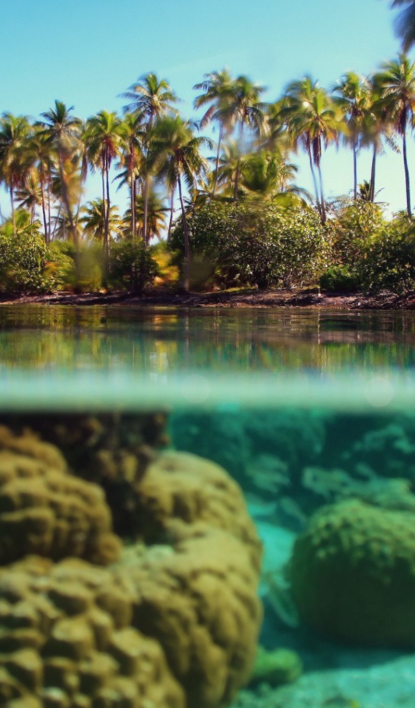 Прозрачная вода у берегов тропического острова
