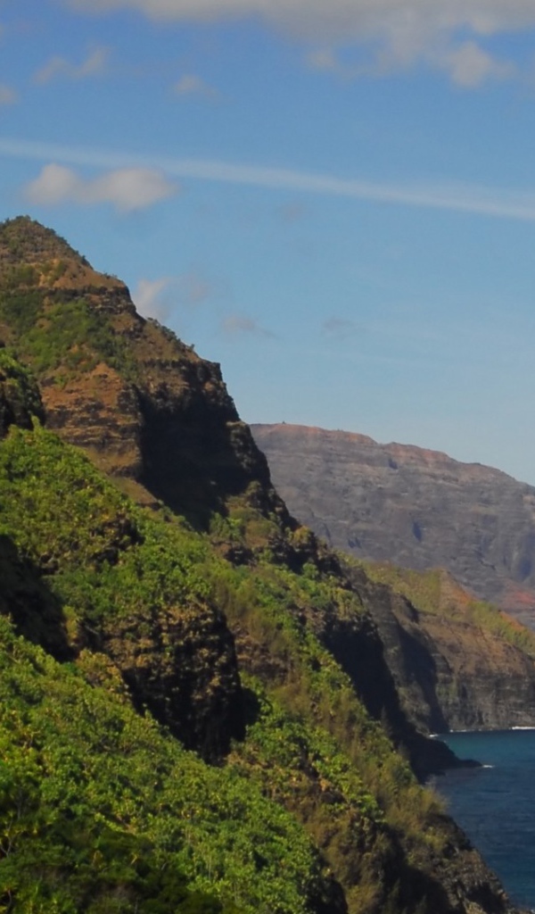 Покрытые лесом скалы над морем