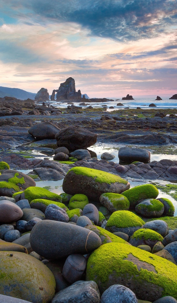 Мох на валунах у моря