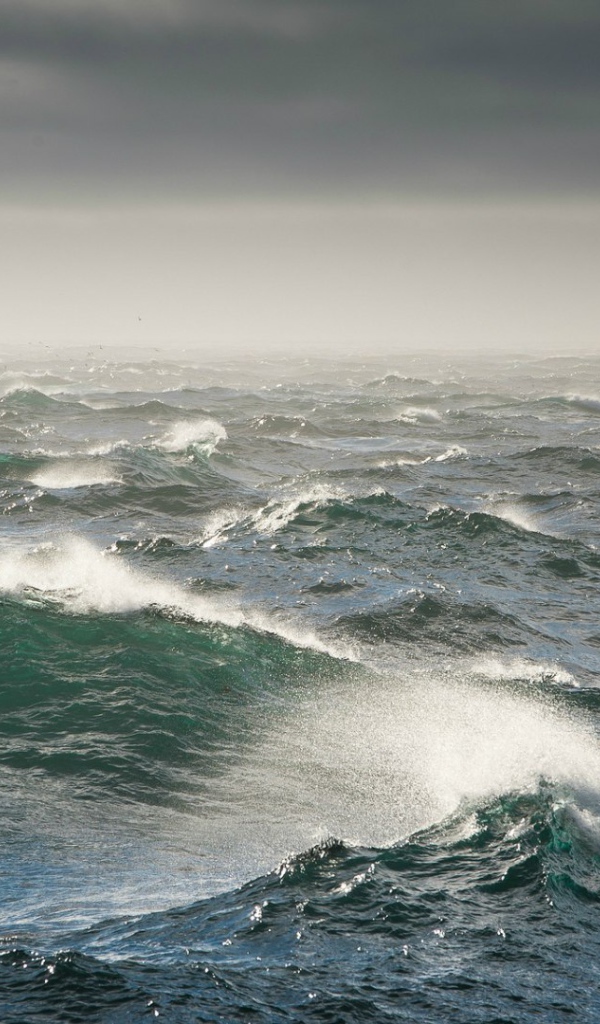 Бурное Берингово море