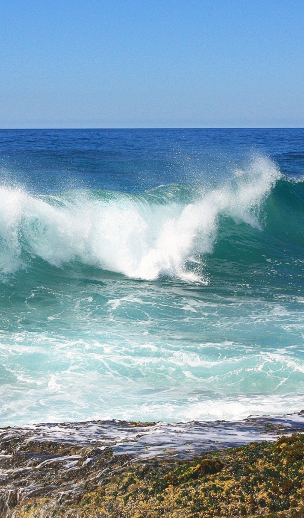 Волна прибоя бескрайнего моря