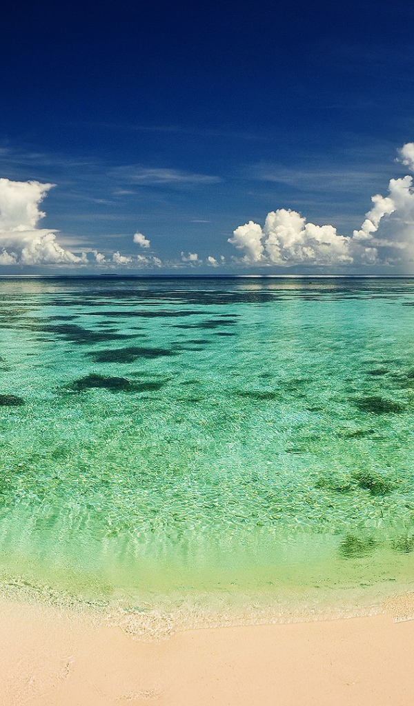 Бирюзовая вода мелководья