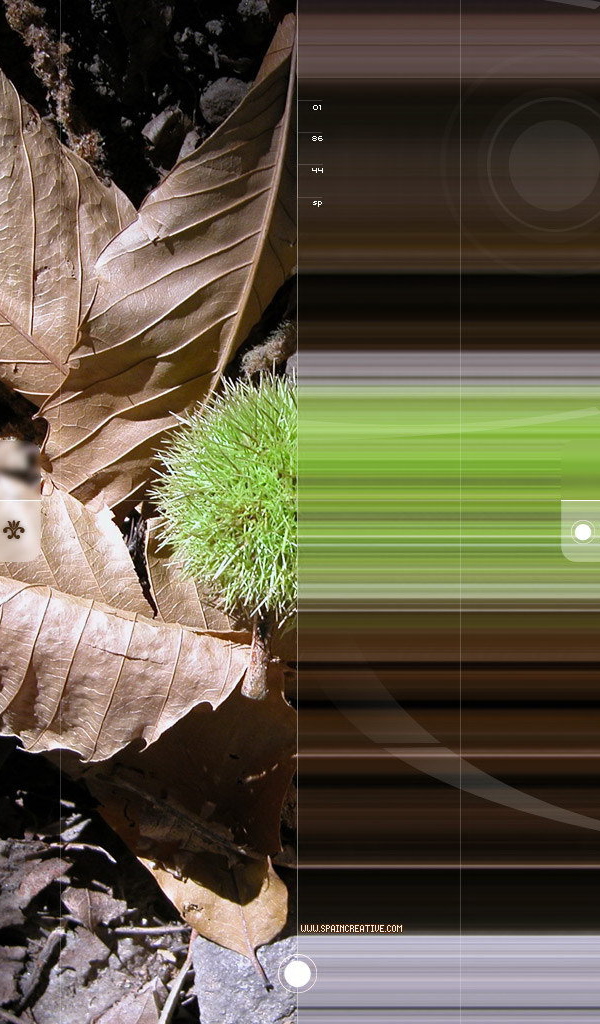 Цифровая осень