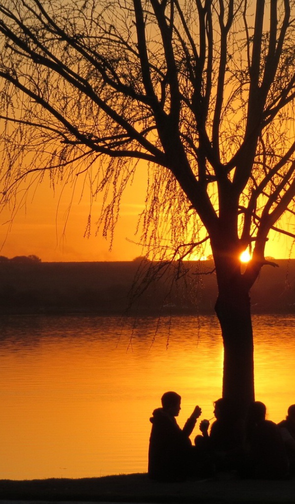 Рыбаки отдыхают под деревом на закате