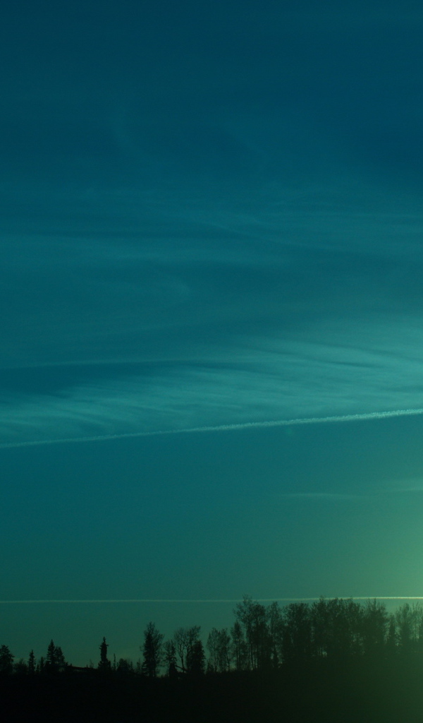 Зеленый закат над лесом