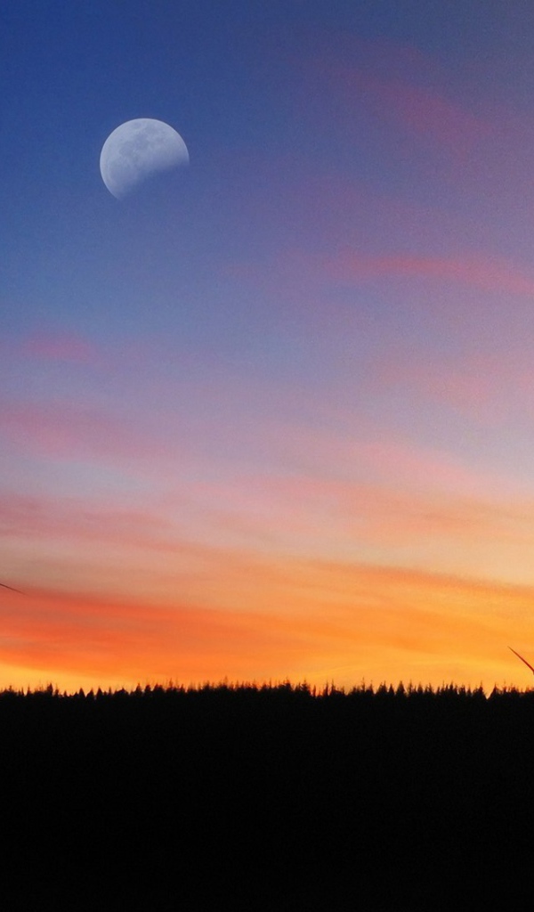 Силуэты ветряков на фоне заката