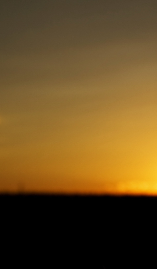 Колосок на закате