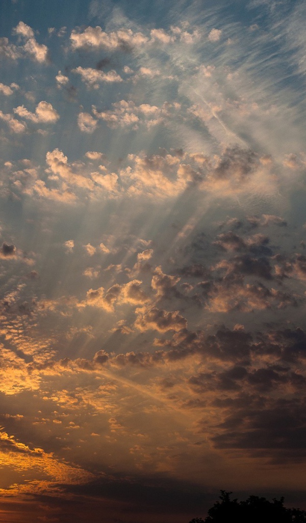 Солнце на закате освещает перистые облака