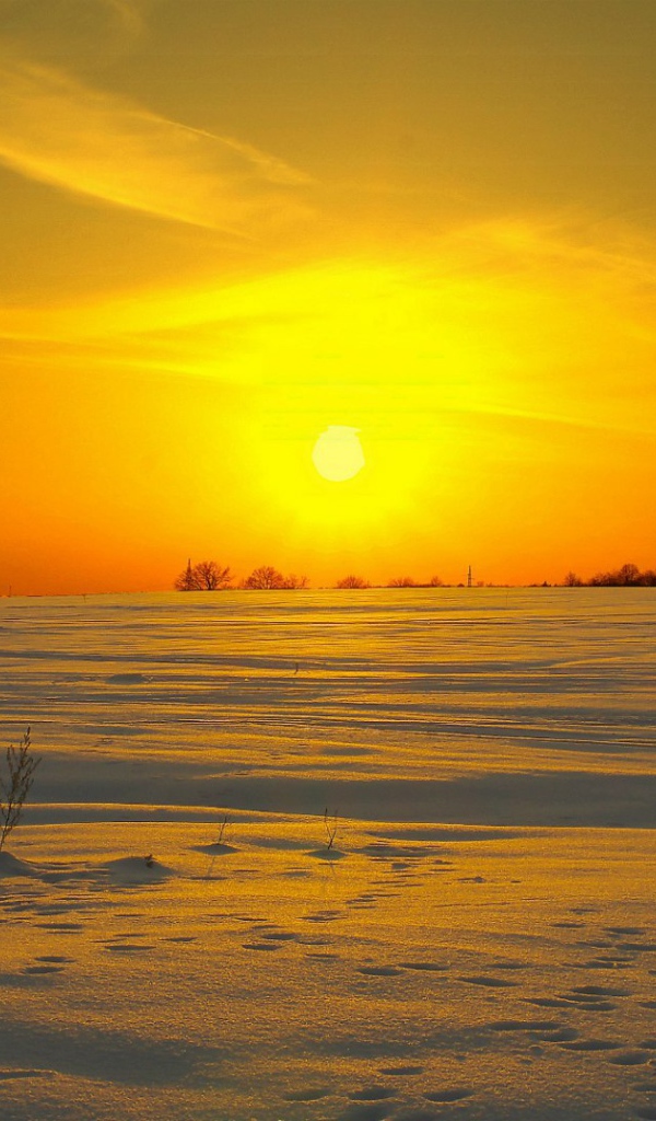 Солнце клонится к закату над заснеженным полем