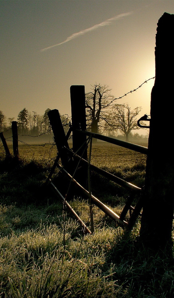 Закат за старым забором