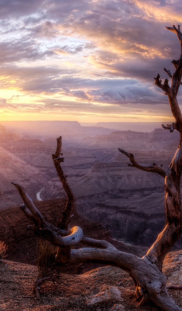 Последние лучи закатного солнца