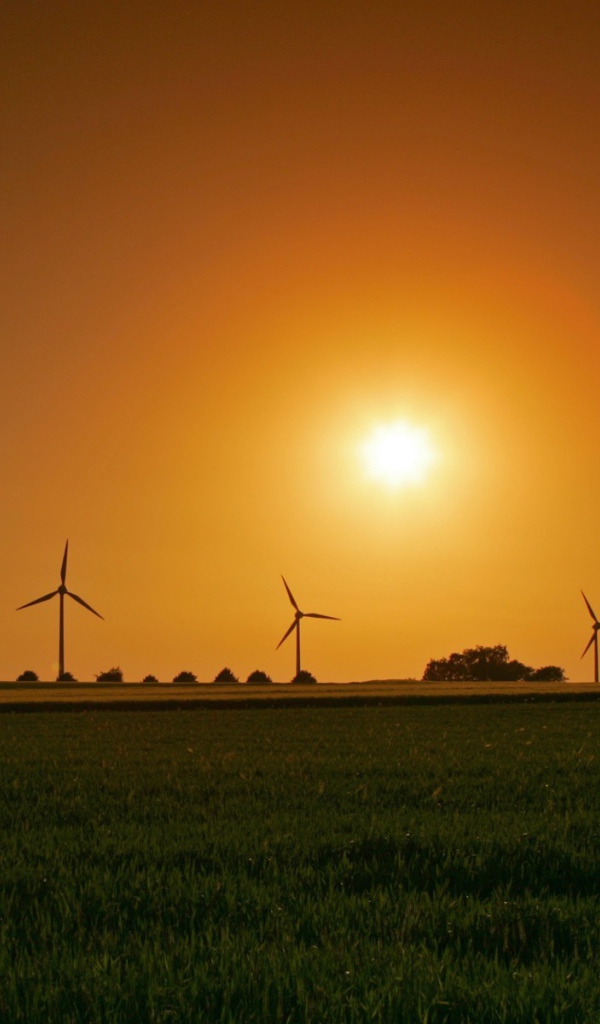 Ветряки на фоне заката