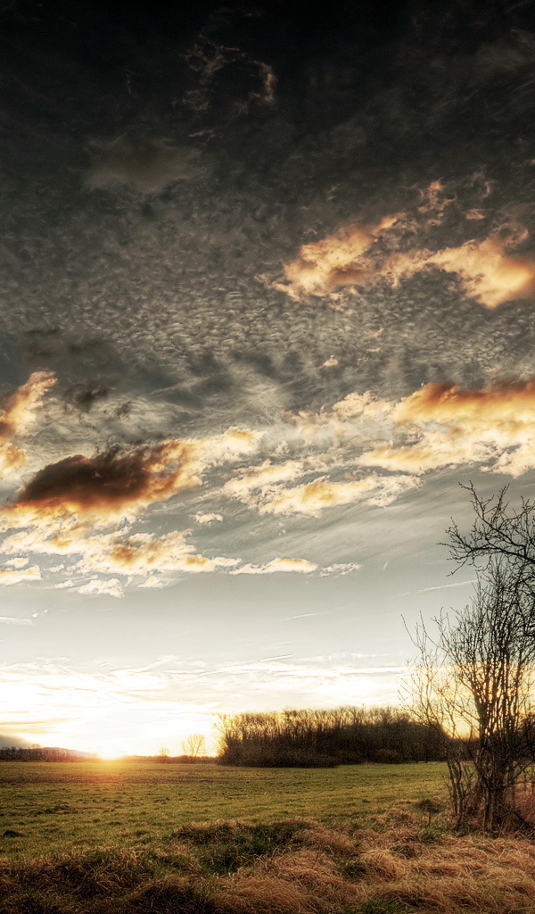 Закат на чистом поле