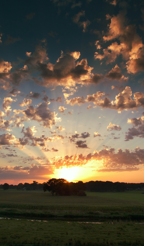 Закат на поле у реки