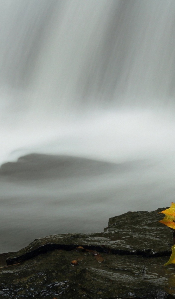 Осенний лист у водопада