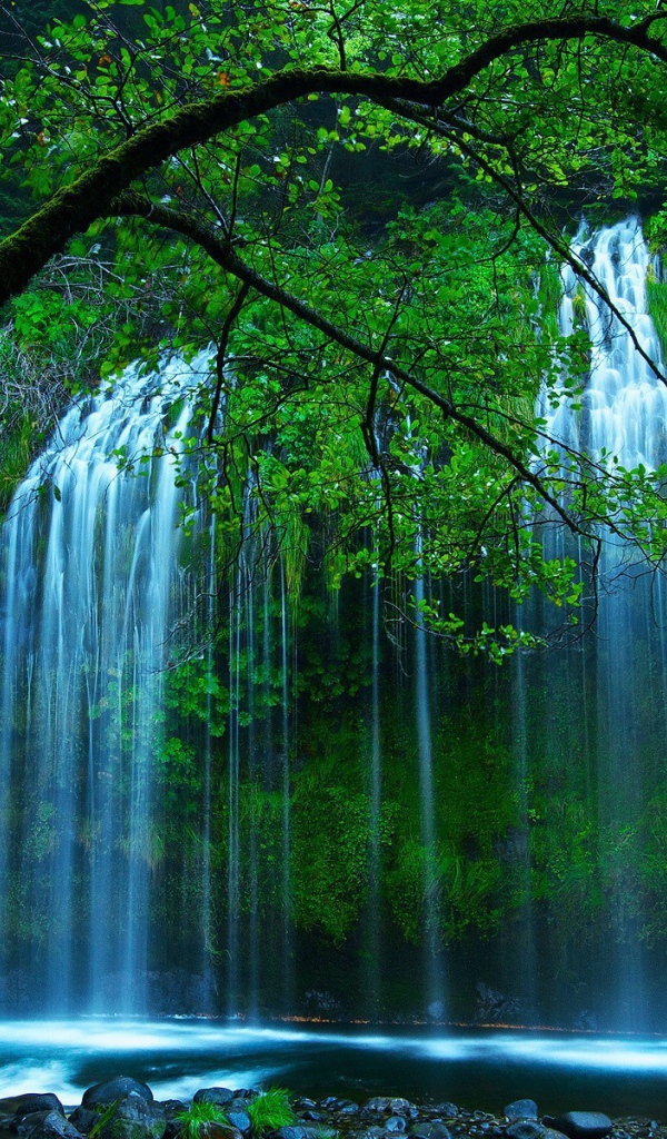 Красивый водопад среди зелени в чаще леса