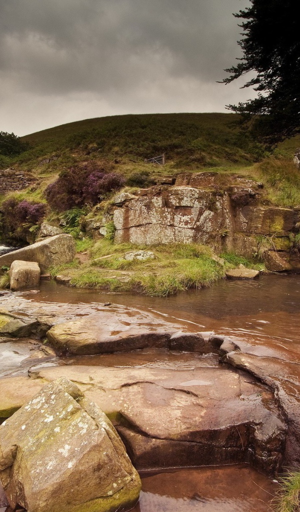 Ухоженные водопады в саду