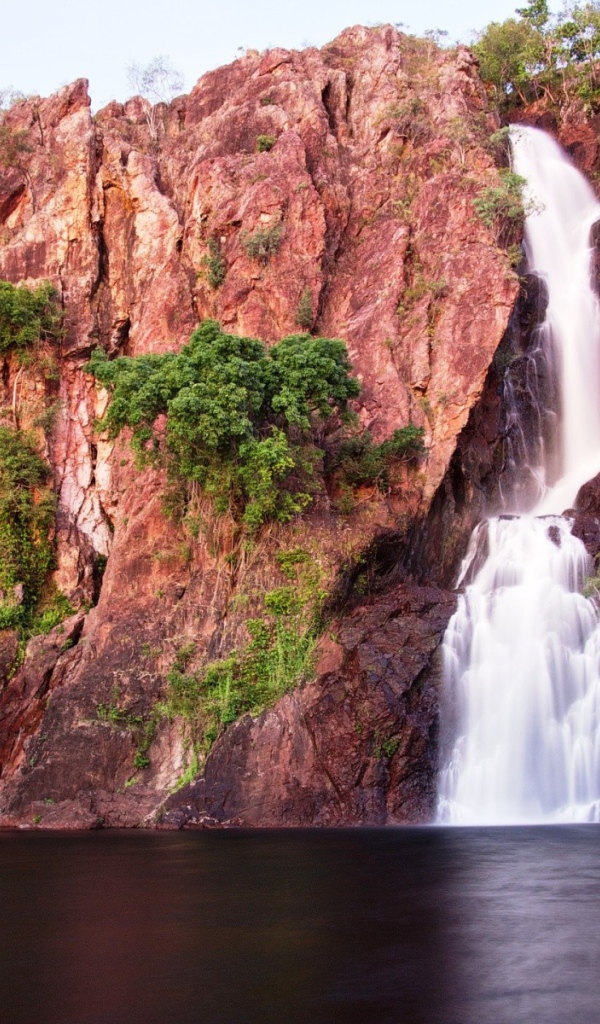 Зелень на розовых скалах с водопадом