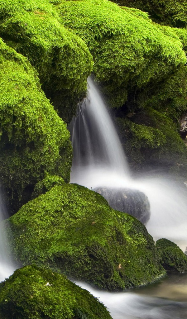Вода стекает вниз среди поросших мхом камней