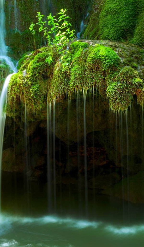 Вода стекает по покрытым мхом скалам