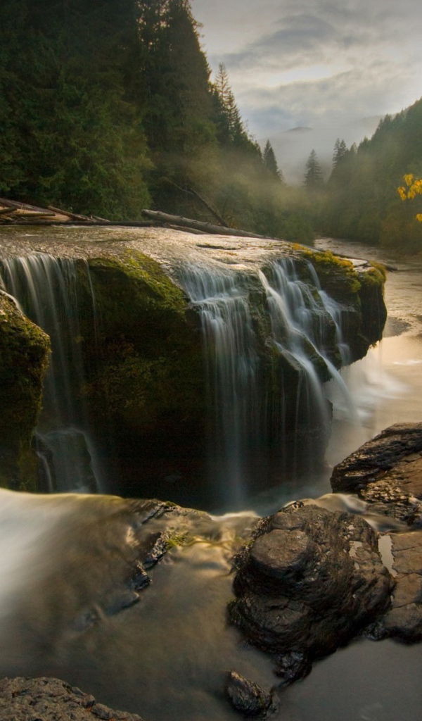 Водопад на большом камне в лесу