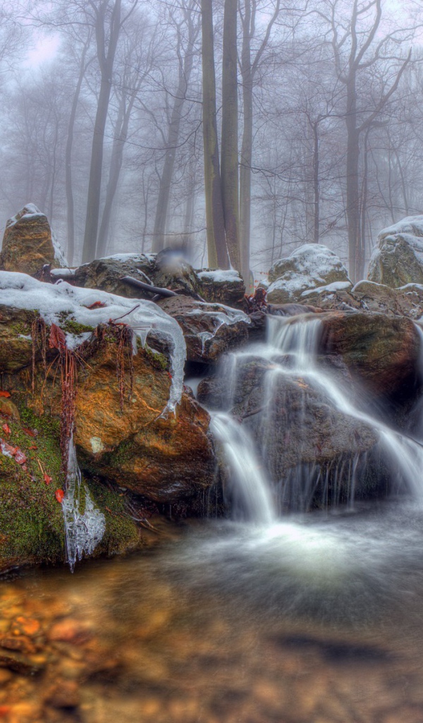 Водопад на фоне туманного леса