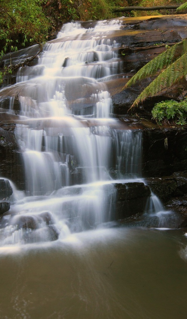 Водопад на черной скале в лесу