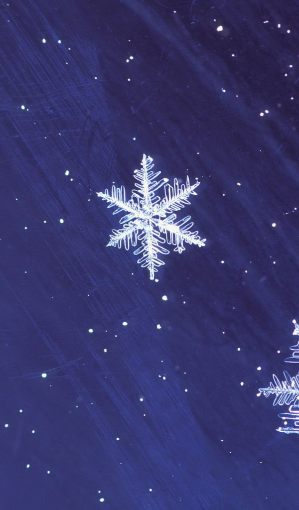 Снежинки на звездном небе