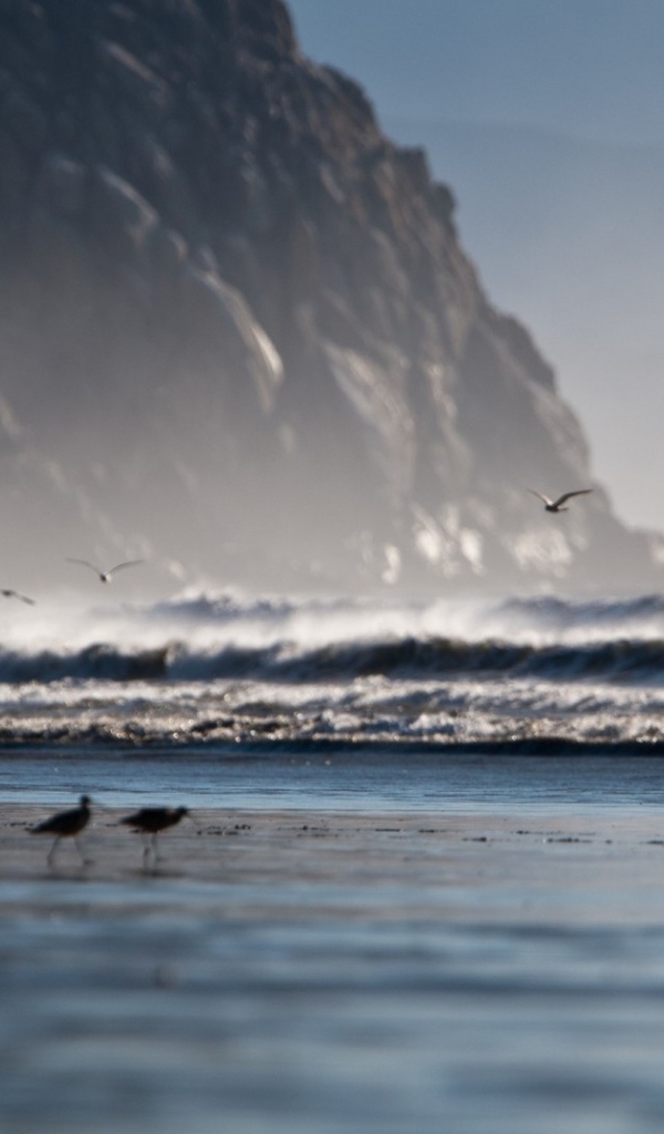 Одинокий всадник на берегу моря
