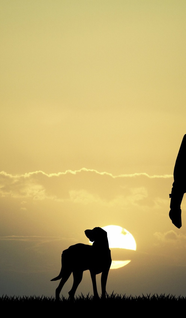 Охотник с собаками на фоне солнца