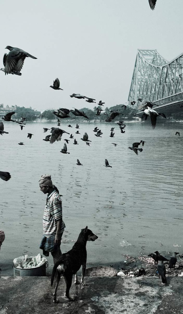 Жизнь людей и животных