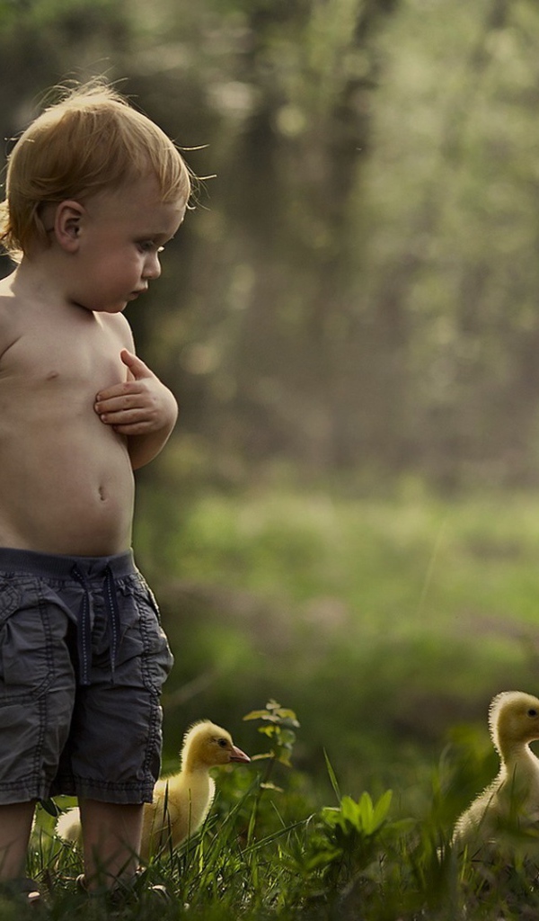 Мальчик гуляет среди утят
