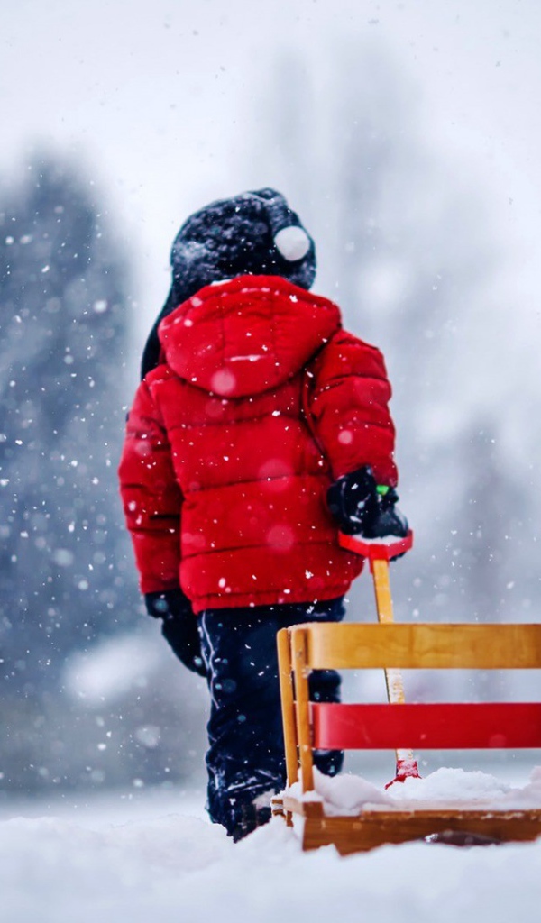 Ребенок везет санки