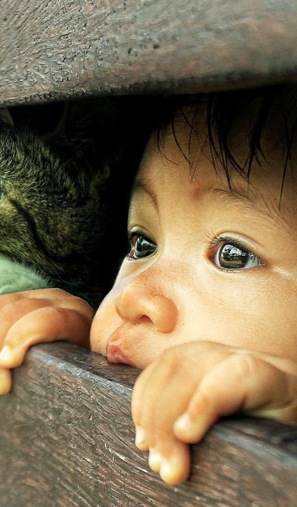 Любознательные кот и малыш