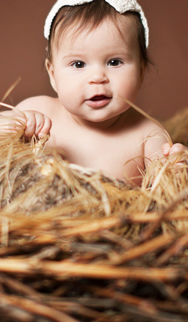 Малыш в гнезде из сена