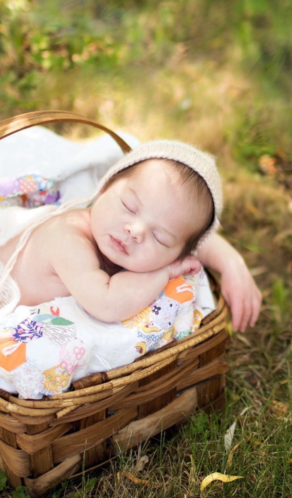 Ребенок спит в корзинке на траве