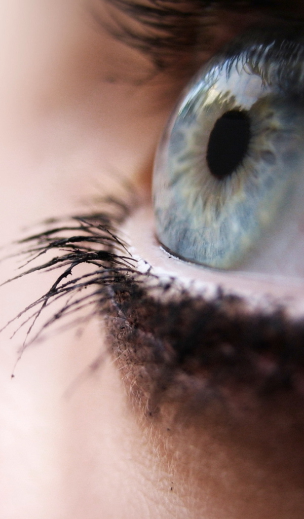 Глаз человека