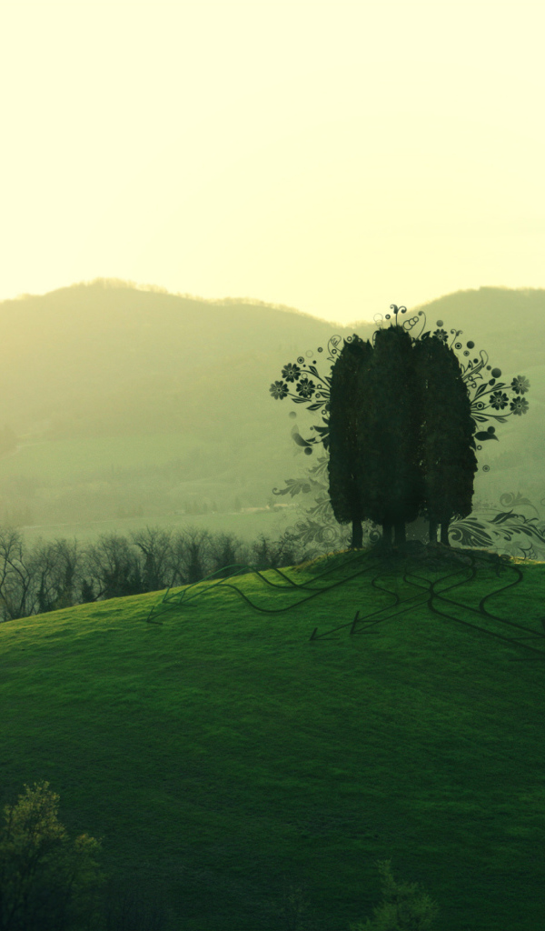 Три дерева на холме