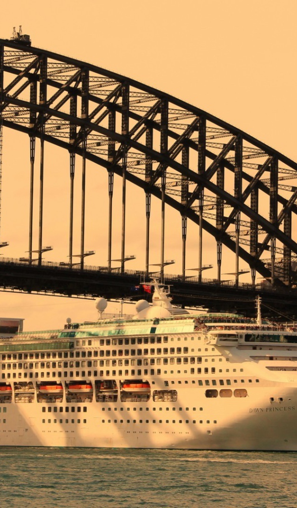 Круизный лайнер под мостом