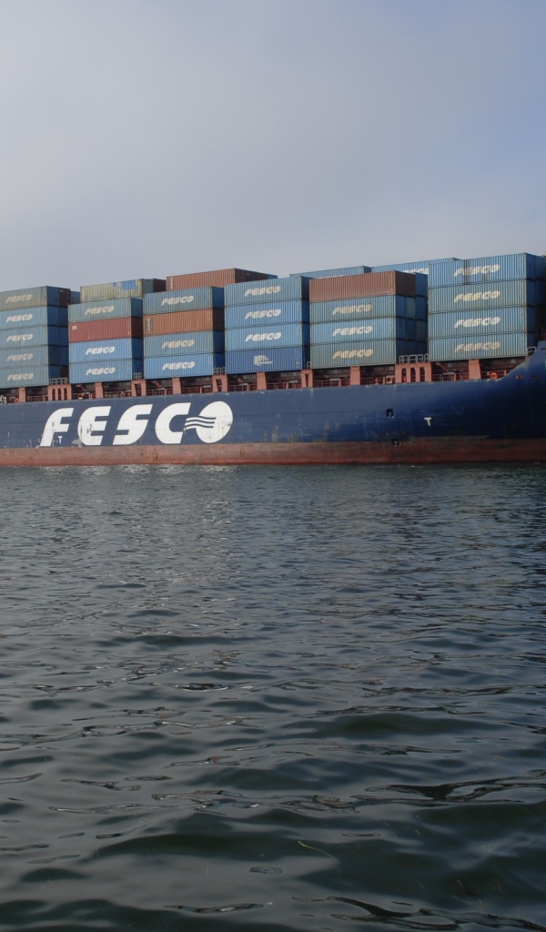 Корабль Феско перевозящий контейнеры