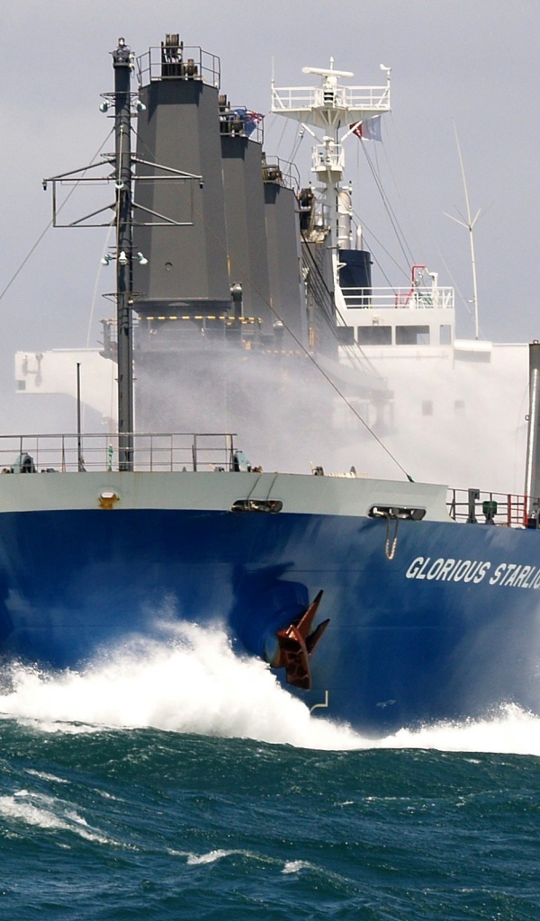 The vessel bulk carrier Glorius Starlight