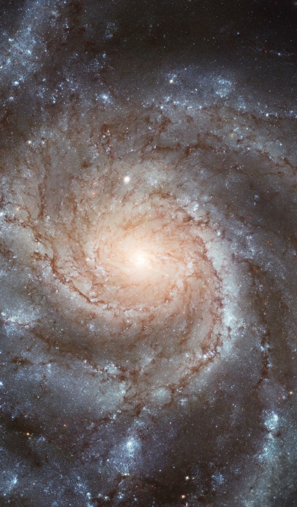 Центр круглой галактики