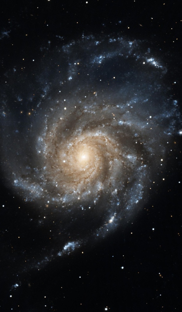 Галактика неправильной формы