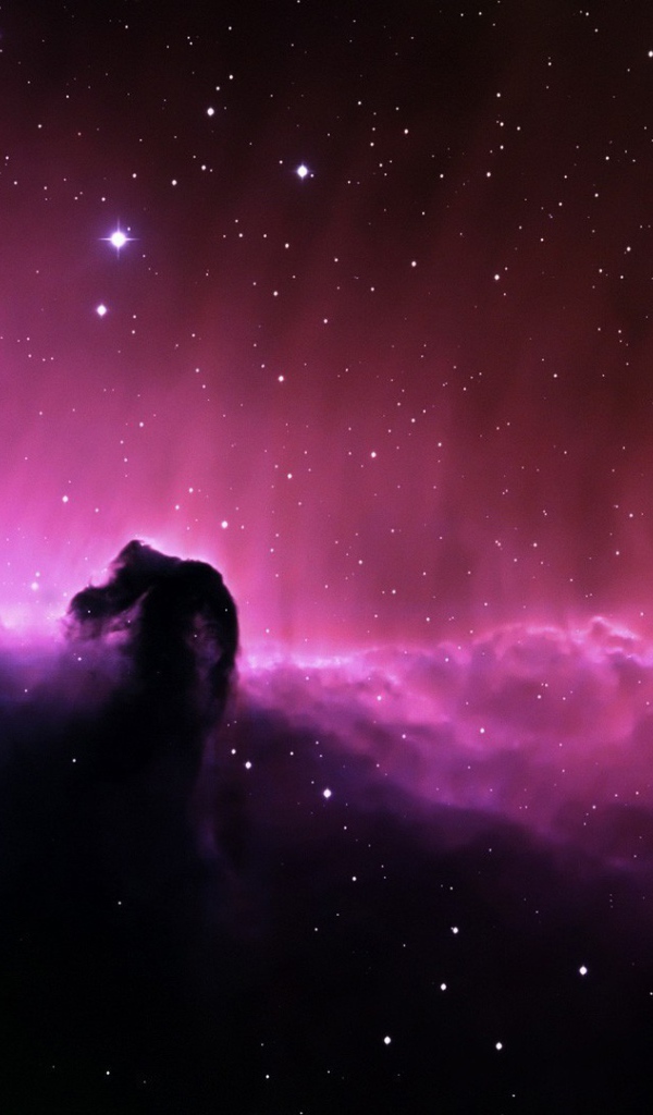 Туманность в форме лошадиной головы