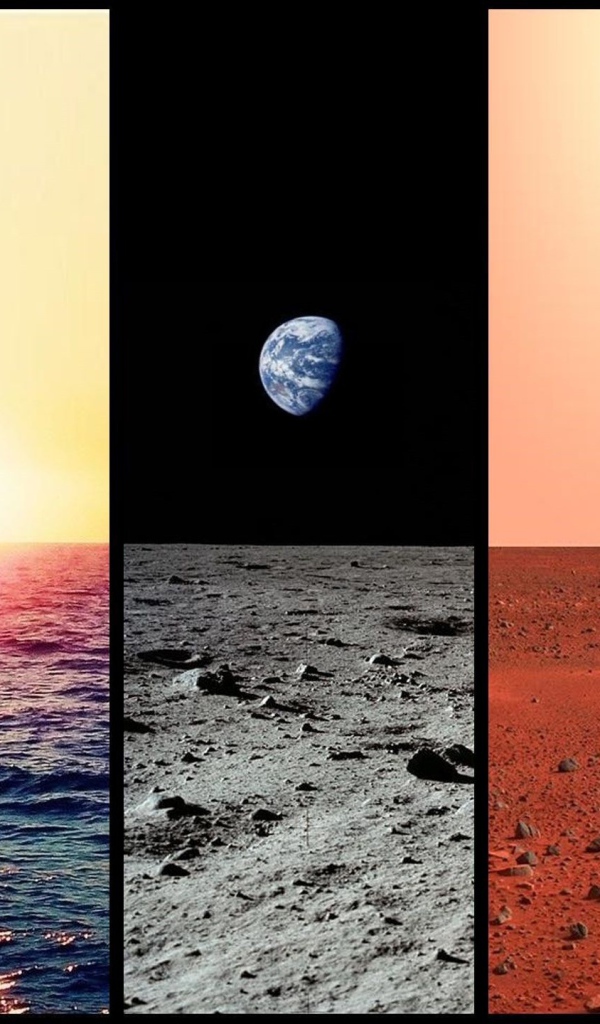 Виды снятые луноходом и марсоходом